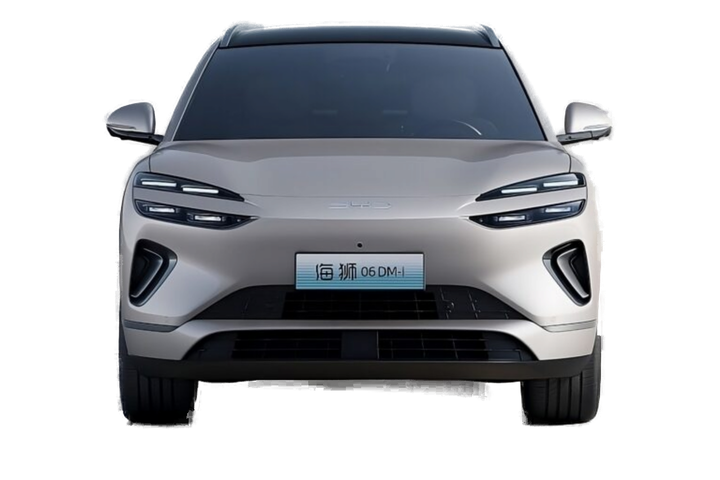 بی وای دی Sealion 06 DMi