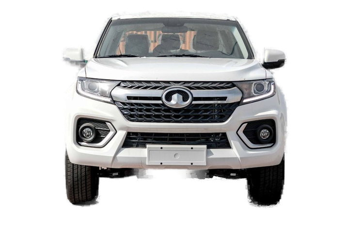 گریت وال Wingle 3