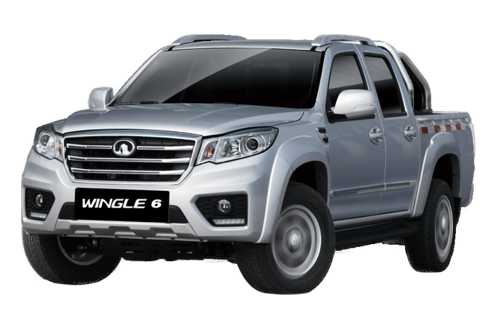 گریت وال Wingle 6